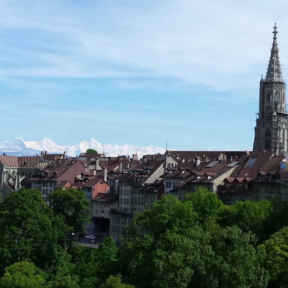 Meet your Posher, Amy - Picture 1 of 1